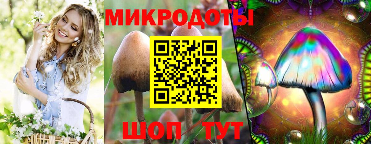 Галлюциногенные грибы Cubensis  Вход с VPN  Псилоцибиновые грибы MAGIC MUSHROOMS  Воркута 