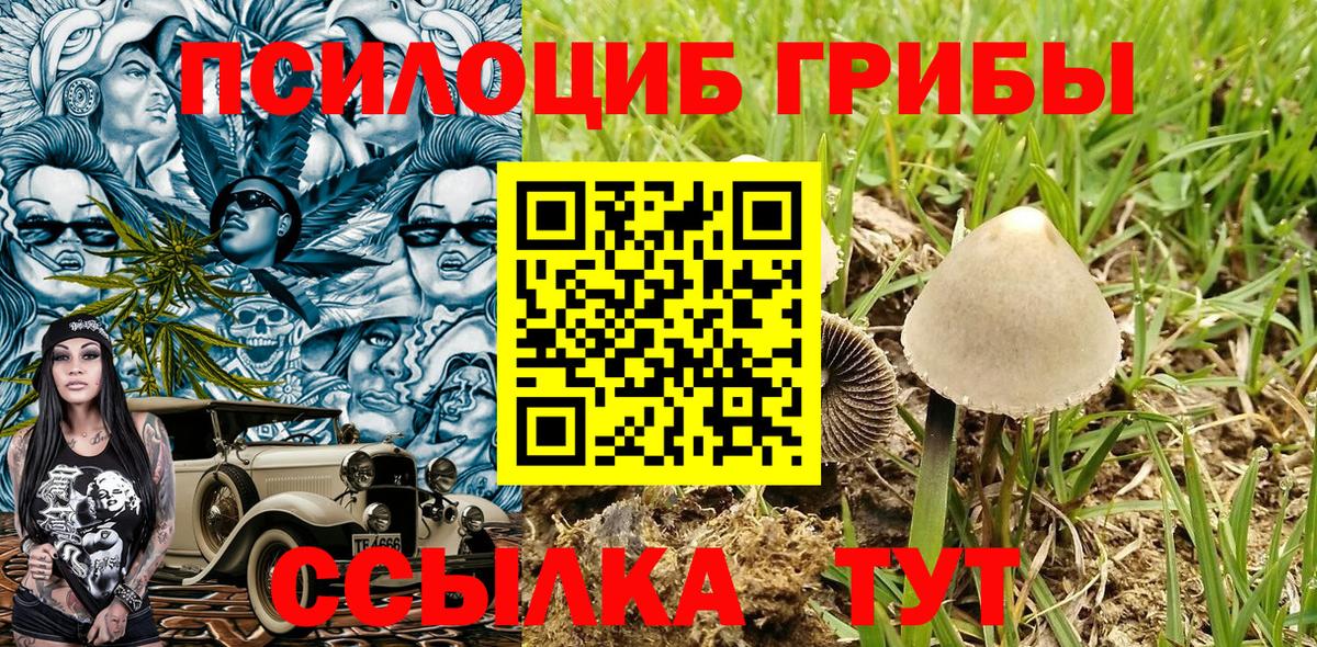 Галлюциногенные грибы прущие грибы Воркута